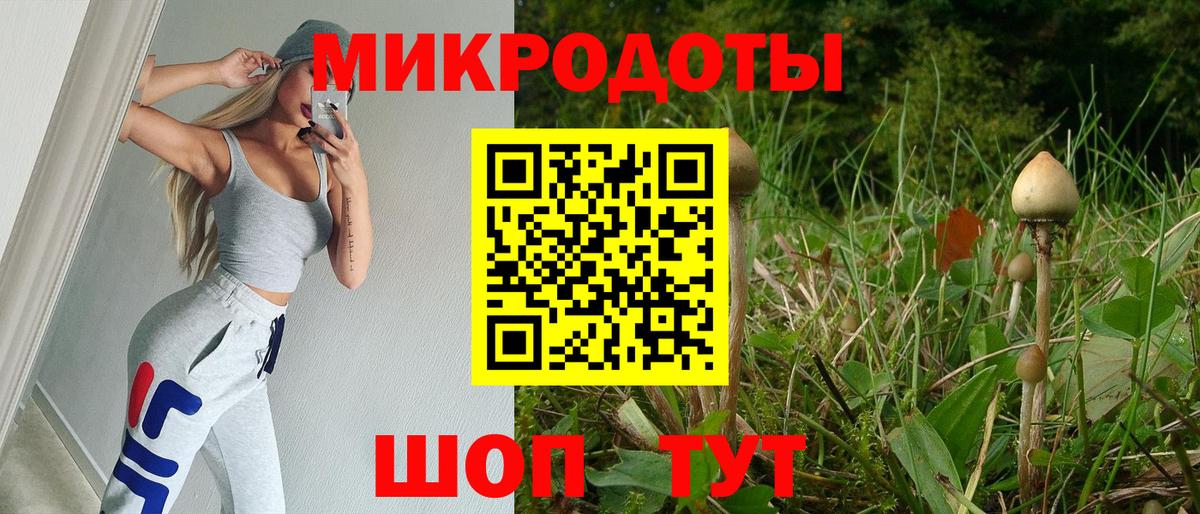 Сердобск  Псилоцибиновые грибы прущие грибы  Вход с VPN  Галлюциногенные грибы Psilocybine cubensis 